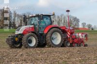 Ackerbohne Saat 20