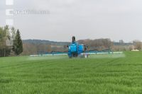 Wintergerste einkürzen 11