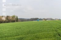 Wintergerste einkürzen 10