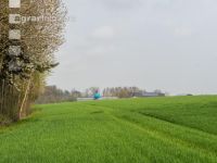Wintergerste einkürzen 4