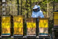 Bienenstock Aufzeichnungen 2