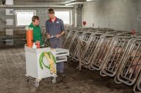 Schweinebesamung Vorbereitung 9