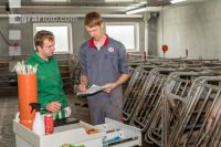 Schweinebesamung Vorbereitung 8