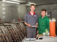 Schweinebesamung Vorbereitung 7
