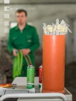 Schweinebesamung Vorbereitung 2
