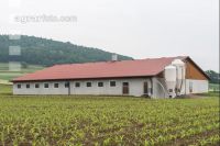 Zuchtschweinestall