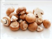 Cremechampignon 1