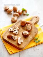 Cremechampignon 4