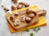 Cremechampignon 3