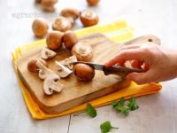 Cremechampignon 2