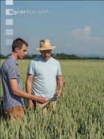 Bodenproben im Weizenfeld 2