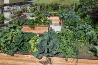 Bauerngarten Hochbeet 