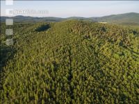 Wienerwald 