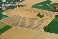 Unter Folie Luft 2