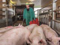 Schlachthof Anlieferung 14