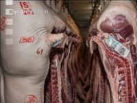 Fleisch Kennzeichnung 7