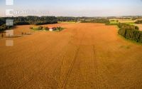 Soya harvest 172