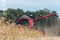 Soya harvest 160