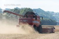 Soya harvest 161