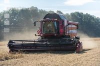 Soya harvest 162