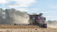 Soya harvest 163
