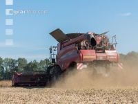 Soya harvest 165