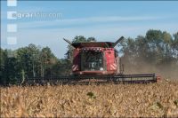 Soya harvest 169
