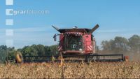 Soya harvest 171