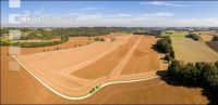 Soya harvest 174