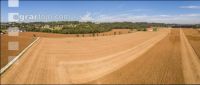 Soya harvest 175