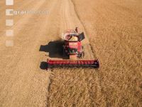 Soya harvest 178