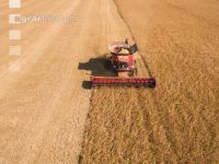 Soya harvest 179