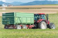 Maize harvest 201