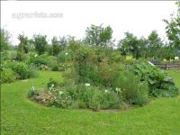 Kräutergarten 6