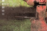 Compost before maize seed 4