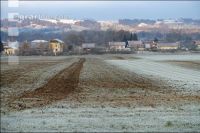 Mist auf frostige Wiese 23