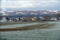 Mist auf frostige Wiese 22