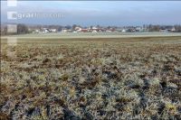 Mist auf frostige Wiese 19