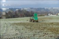 Mist auf frostige Wiese 15