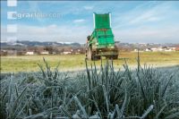 Mist auf frostige Wiese 13