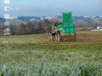 Mist auf frostige Wiese 11