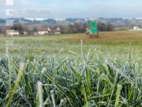 Mist auf frostige Wiese 10