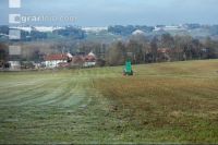 Mist auf frostige Wiese 9