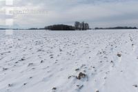Soil in winter 6
