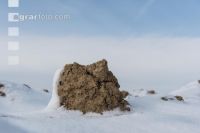 Soil in winter 4