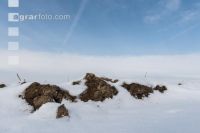 Soil in winter 2