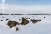Soil in winter 1