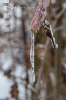 Eisregen 51