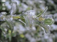 Eisregen 34