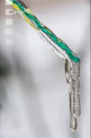 Eisregen 24